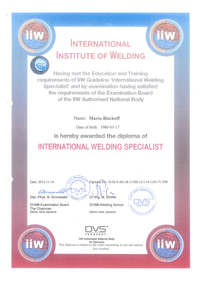 iiw - International Institute of Welding…